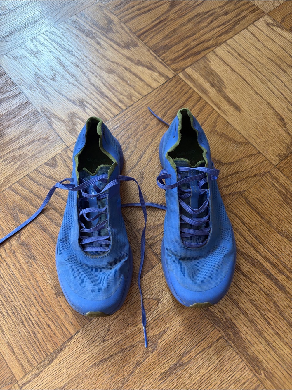Arc'teryx Norvan SL Iolite/Archipelago Trail Running Shoes